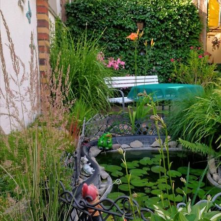 Spreewald Ferienwohnung Wollgast Lübben Kültér fotó
