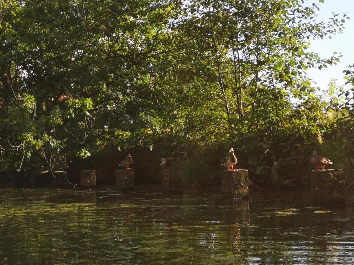 Spreewald Ferienwohnung Wollgast Lübben Kültér fotó
