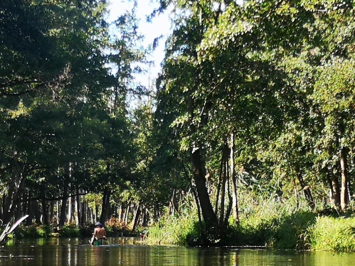 Spreewald Ferienwohnung Wollgast Lübben Kültér fotó