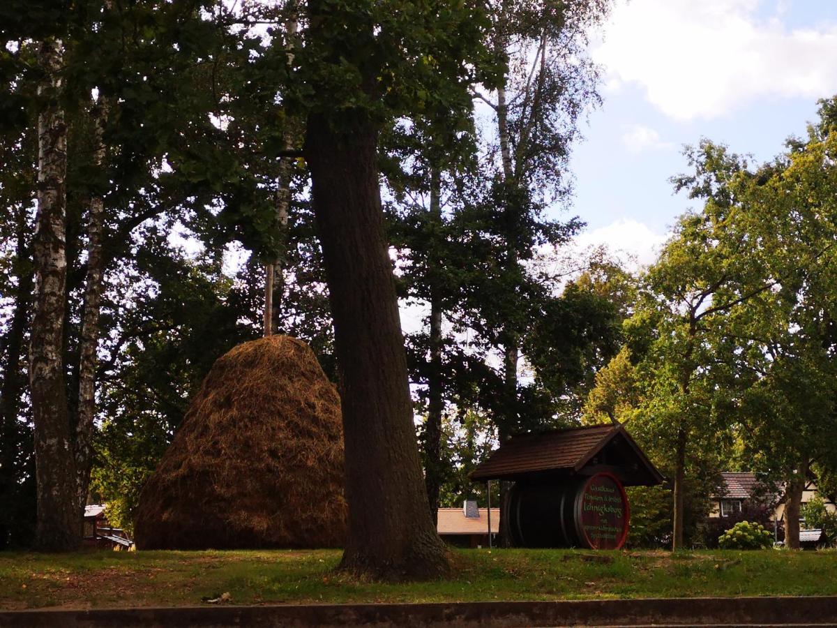 Spreewald Ferienwohnung Wollgast Lübben Kültér fotó